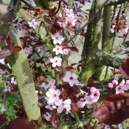 Residenz Bellevue Exklusive 39 * Zinnowitz